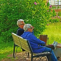 Июнь...Пожилая пара уединилась! :: Владимир 