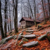 Домик в лесу :: Сергей Шаврин Домик в лесу :: Сергей Шаврин