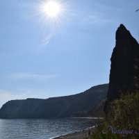 Природа Крыма :: Amazing Cosmea