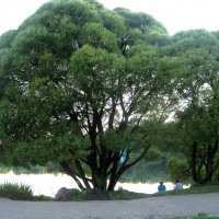 Это было недавно,это было давно :: Елена Семигина