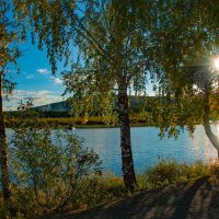 И блещет озеро среди стволов берёз :: Vladimbormotov 