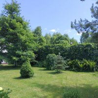 Лето на даче. :: Ольга Довженко