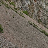 ПО ГОРАМ. :: Виктор Осипчук