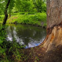 ***** :: юрий поляков