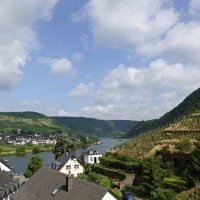 Германия, река Мозель :: Галина 