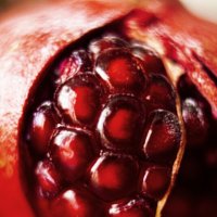 *** :: Яна Горбунова *** :: Яна Горбунова