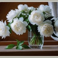 Пионы :: Aleksey Afonin