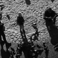 .... :: Юрий Самсонов