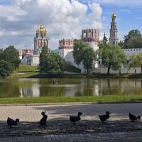 Новодевичий монастырь и Дорогу утятам! :: <<< Наташа >>>