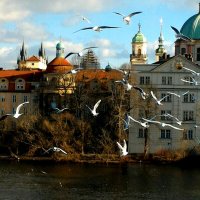 Прага :: Натали 