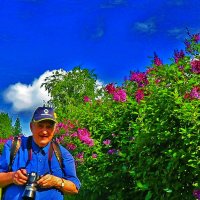 Июнь...Мой летний отдых с  любимой сиренью! :: Владимир 