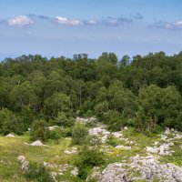 Плато Лаго-Наки :: Игорь Сикорский