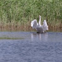 Я ПОКАЖУ ТЕБЕ КРАСИВОЕ... :: Володька Завитушкин Я ПОКАЖУ ТЕБЕ КРАСИВОЕ... :: Володька Завитушкин