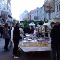 Книголюбы. :: Наталья Вязигина