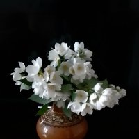 *** :: Валентина Береснева