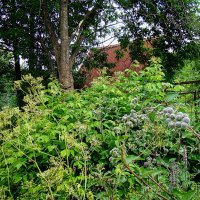 Усадьба , в которую не попали,,,, :: Анатолий Колосов