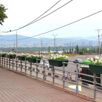 Мой Красноярск :: Василий 