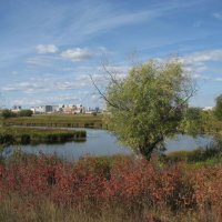 Скоро осень :: Anna Ivanova