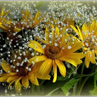 Кусочек лета в дом.. :: Aleksandr Gal