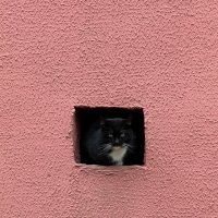 Наблюдатель :: Владимир Гвозд