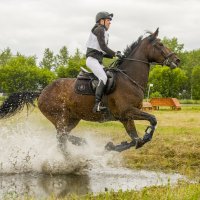 Кросс. :: Татьяна Титова Кросс. :: Татьяна Титова