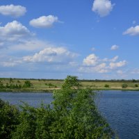 Оазис в степи. :: Виктор 