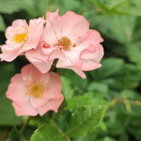 ,,, :: Сергей Тимоновский ,,, :: Сергей Тимоновский