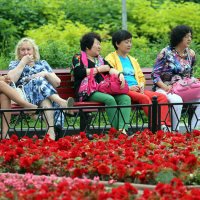 слабый пол и цветочки :: Олег Лукьянов слабый пол и цветочки :: Олег Лукьянов