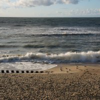 ~~~   * * *    ~~~ :: Алёна Савина