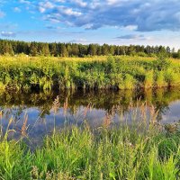 В зелёном лесу, на зелёной травинке :: Hope 