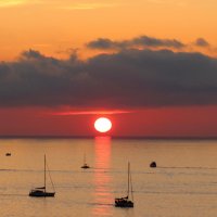 Прогулка на закате :: Валерий 