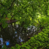 ***** :: юрий поляков