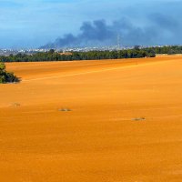 ИЗРАИЛЬСКИЙ ЧЕРНОЗЁМ :: Анатолий Малобродский ИЗРАИЛЬСКИЙ ЧЕРНОЗЁМ :: Анатолий Малобродский