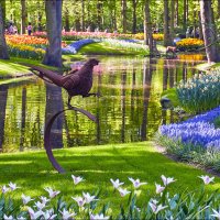 Птица парка Кекенхоф :: Валерий Готлиб Птица парка Кекенхоф :: Валерий Готлиб