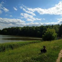 Июнь таки вспомнил, что он - лето :: Андрей Лукьянов