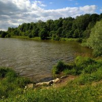 Июнь таки вспомнил, что он - лето :: Андрей Лукьянов