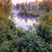 Как многогранна у Природы красота! :: Елена Хайдукова  ( Elena Fly )