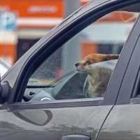 Ученик :: Валерий Иванович