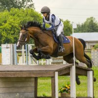 Кросс :: Татьяна Титова