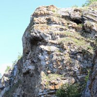 Причуды природы на берегах Исети (серия) :: Любовь Сахарова