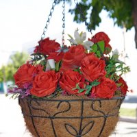 городские цветы :: Сергей М городские цветы :: Сергей М