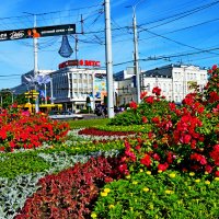 Город встречает гостей... :: Vladimir Semenchukov