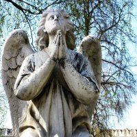 Ангел :: Натали 