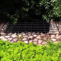 Большой секрет... :: Василий Палий