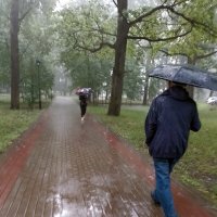 *** :: Валентина Береснева