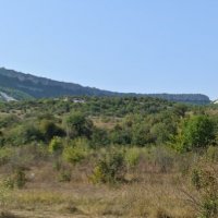 Природа Крыма :: Amazing Cosmea