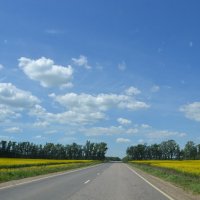 Из автомобиля. :: Михаил Столяров