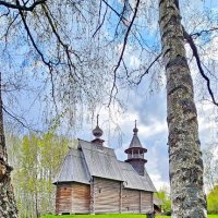 Спасская церковь. Кострома. :: Михаил Свиденцов