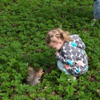 Первое знакомство. :: Ольга 