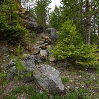 У известнякового карьера... :: Николай Гирш